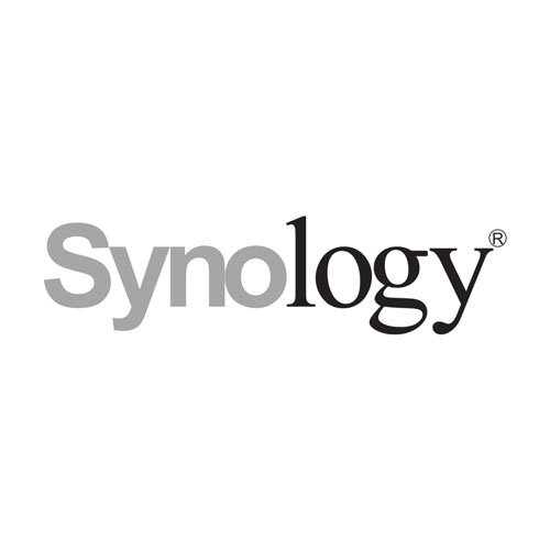 synology-500